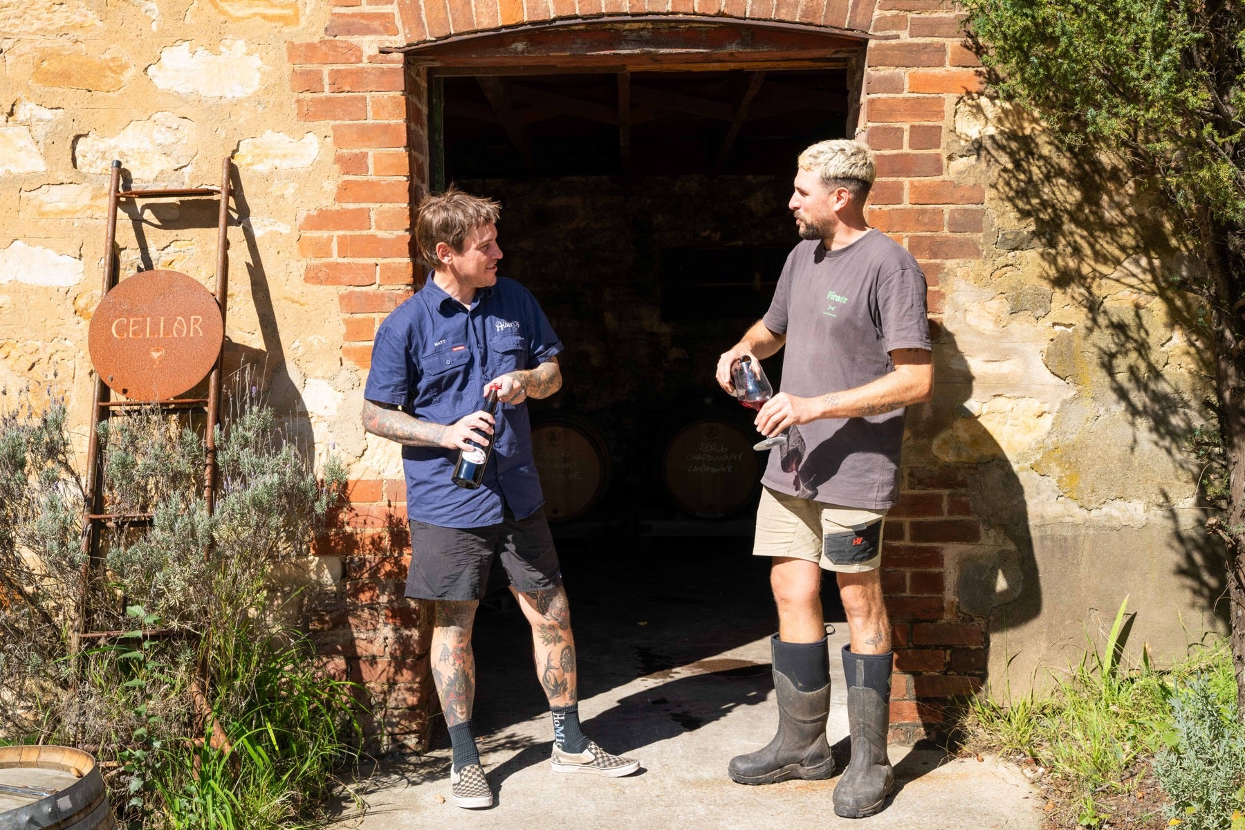 Wines by Matt Stone cellar